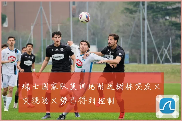 瑞士国家队集训地附近树林突发火灾现场火势已得到控制